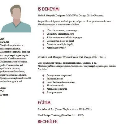 Web Tasarımcı CV