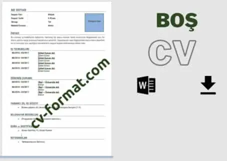 Boş Mavi Cv Örneği