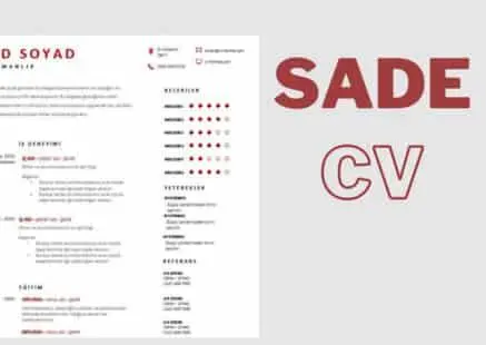 Sade Cv Örneği 2019