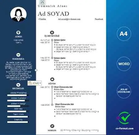 Mavi Modern Cv Örneği