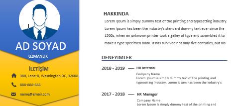 2020 CV Örnekleri Katman görünümlü cv örneği