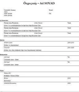 Sade Basit Cv Örneği