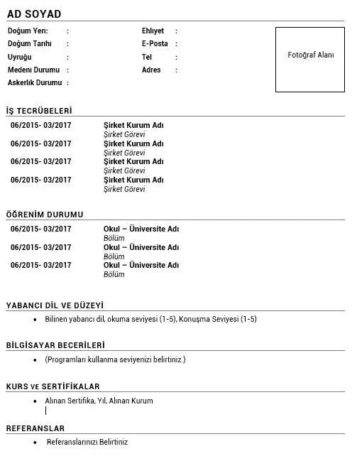 Boş Sade Cv Örneği