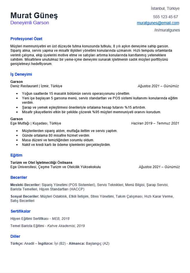 Ücretsiz ATS Uyumlu CV Örnekleri ATS CV