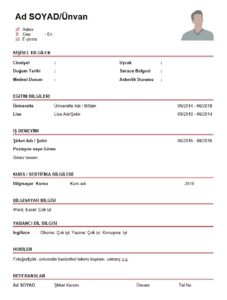 Boş CV Örnekleri – Ücretsiz ve Güncel CV Şablonları Boş Sade CV Örneği İndirme